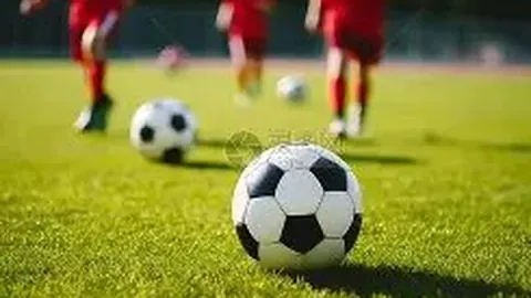 佩佩歐冠賽場發揮卓越，馬丁內斯讚譽：葡萄牙之鍵！