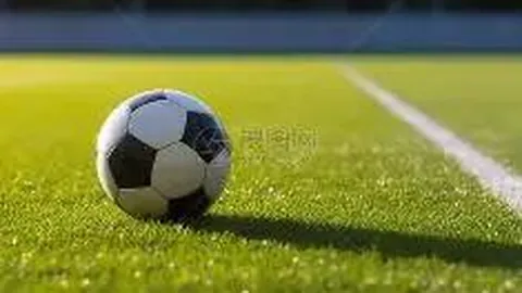 [四大洲花滑赛]双人滑自由滑赛事